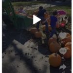 click to watch video about donating your pumpkins.