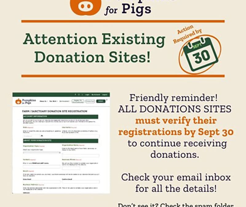 Newsletter 001 091324