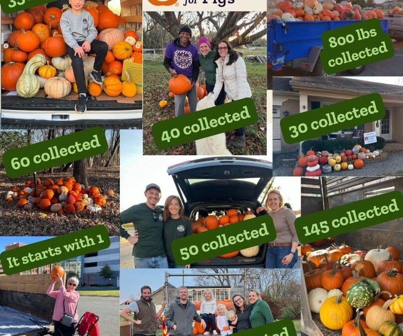 Newsletter 011 102125