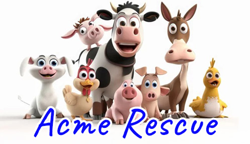 Logo-AcmeRescue